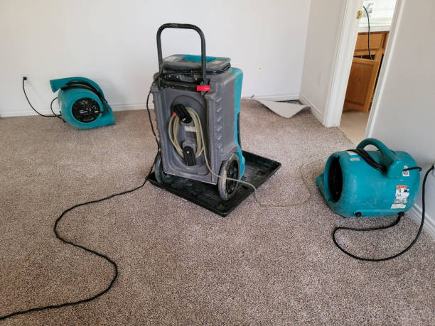 Best Basement water damage restoration  in Smith Center, KS