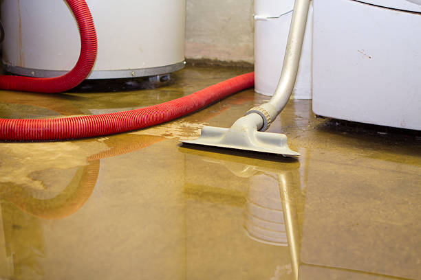 Best Sewage cleanup and water damage restoration  in Smith Center, KS