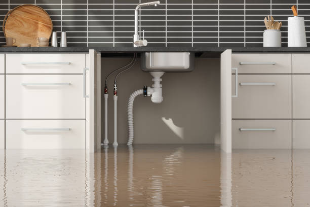 Best Water damage restoration process  in Smith Center, KS