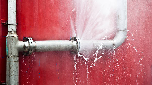 Best Mold removal after water damage  in Smith Center, KS