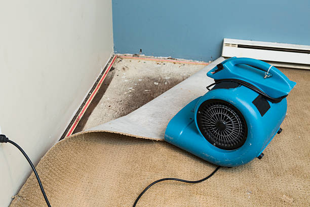 Best Flood damage cleanup  in Smith Center, KS